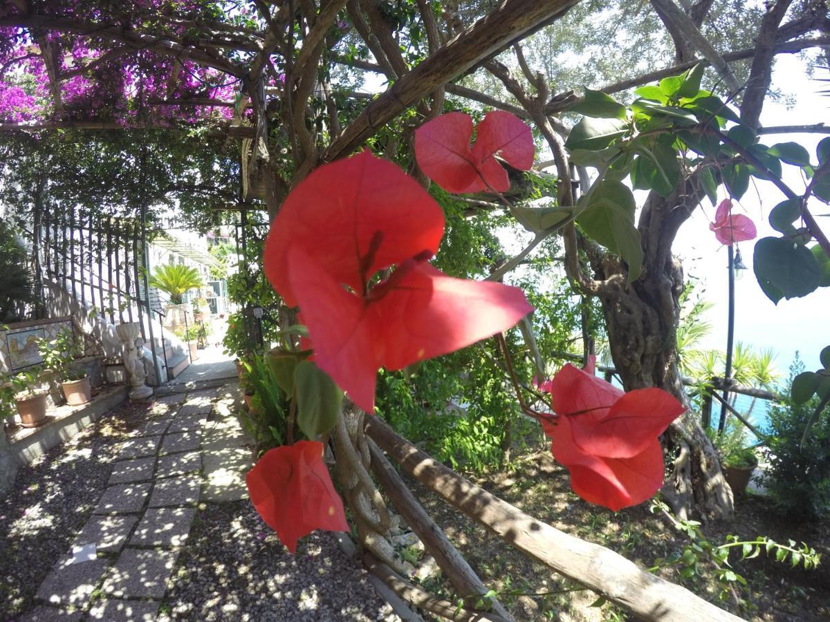 Casa Hermosa Amalfi Kültér fotó